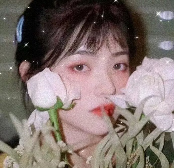 黑猫重案组